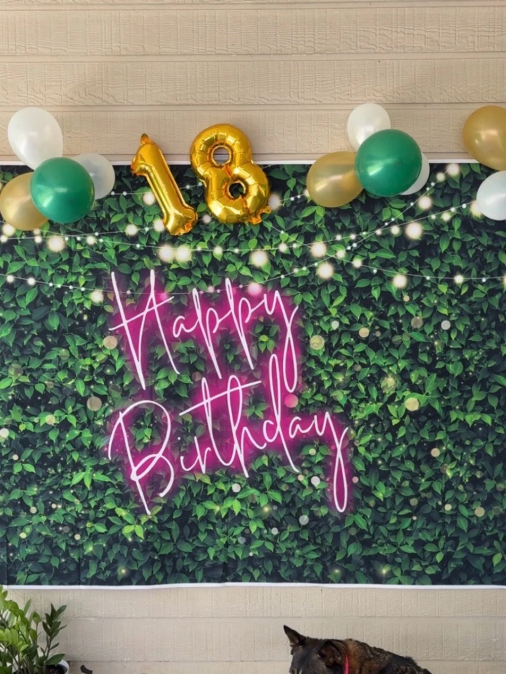 Photo Backdrop, Birthday in a box! Girl Birthday decor.